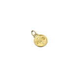 Star Zodiac Amulet - Gold